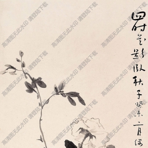 孫雪泥國(guó)畫(huà) 四時(shí)花影 高清大圖下載
