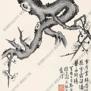 高野侯國(guó)畫(huà) 寒梅圖 高清大圖下載