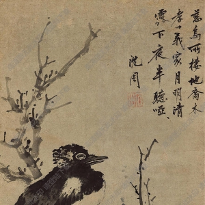 沈周國畫 慈烏圖 (2) 高清大圖下載
