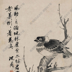 沈周國畫 慈烏圖 (3) 高清大圖下載