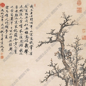 沈周國畫 古木花冠公雞 高清大圖下載