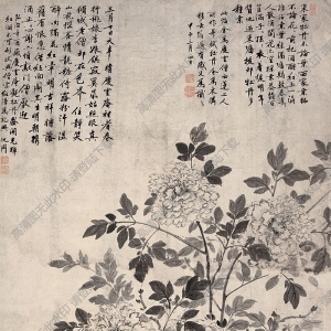 沈周國(guó)畫 牡丹 高清大圖下載