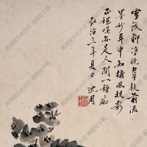 沈周國(guó)畫 枇杷 高清大圖下載