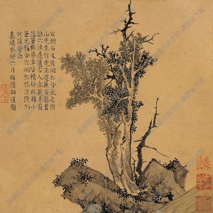 文征明國畫 樹石圖 高清大圖下載