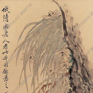 奚岡國(guó)畫(huà) 蘭花 高清大圖下載
