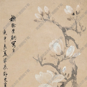 奚岡作品 玉蘭碧桃 高清大圖下載
