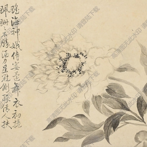 惲壽平國畫 墨芍藥 高清大圖下載