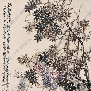 諸樂(lè)三國(guó)畫(huà) 紫藤 (3) 高清大圖下載