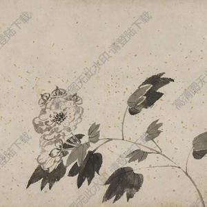 唐寅國畫 芙蓉 高清大圖下載