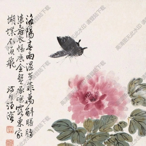 汪溶?chē)?guó)畫(huà) 貓蝶圖 高清大圖下載
