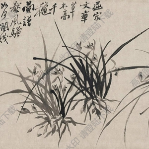 鄭板橋國畫_蘭花 (1)_高清大圖下載