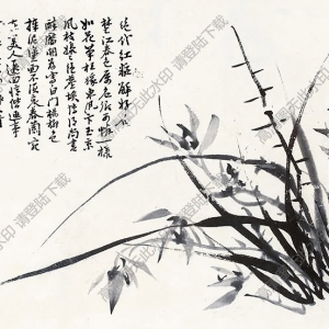 鄭板橋國畫_蘭花 (4) _高清大圖下載