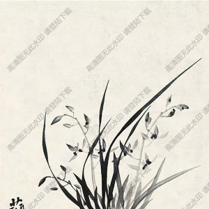 鄭板橋國畫_蘭花 (6) _高清大圖下載