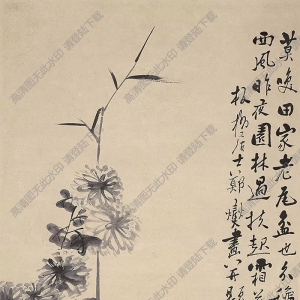 鄭板橋作品_菊花 (2)_高清大圖下載