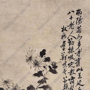 鄭板橋作品_菊石圖_高清大圖下載