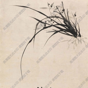 鄭板橋作品_墨蘭_高清大圖下載