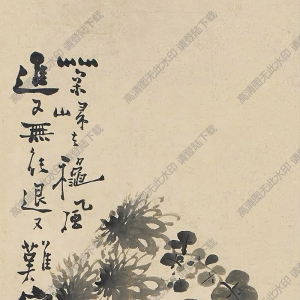 鄭板橋作品_瓶菊_高清大圖下載