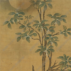 陸治國畫 桂樹月兔 高清大圖下載