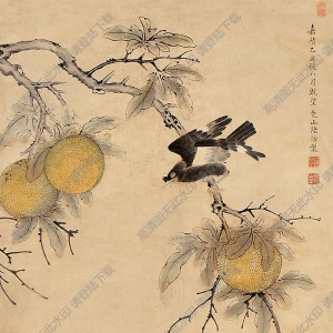 陸治國畫 花鳥 (2) 高清大圖下載