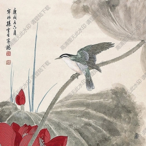 孫云生國(guó)畫 紅荷翠鳥 高清大圖下載