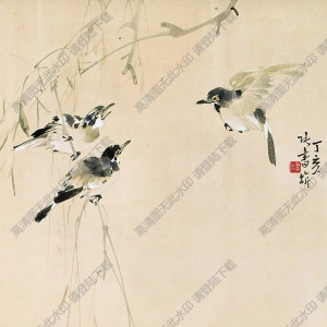 張書旗國畫 柳枝山禽圖 高清大圖下載