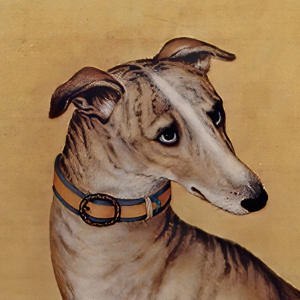 郎世寧_十駿犬圖02_斑錦彪_高清名畫(huà)下載