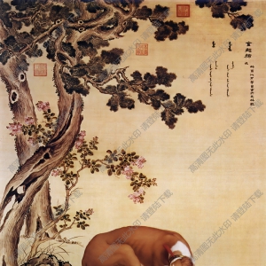 郎世寧_十駿犬圖05_金翅獫_高清名畫(huà)下載