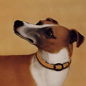 郎世寧_十駿犬圖07_茹黃豹_高清名畫(huà)下載
