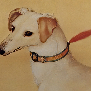郎世寧_十駿犬圖08_霜花鷂_高清名畫(huà)下載