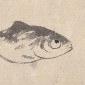 朱耷國(guó)畫(huà)_游魚(yú)圖_高清大圖下載