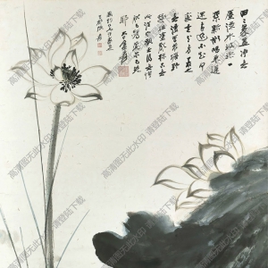 張大千的畫_荷花_田田翠蓋凈無塵_高清大圖下載