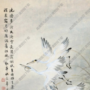 戈湘嵐作品_霜翎蒹葭_高清大圖下載