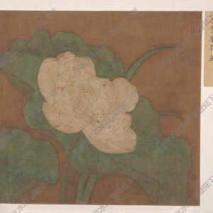 明代黃筌_蓮花圖絹本_高清大圖下載