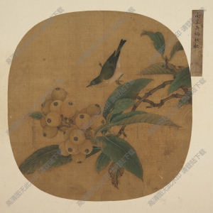 明代吳炳_枇杷翠鳥圖_高清大圖下載