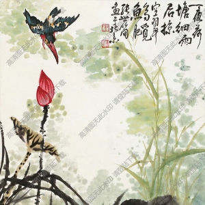 張世簡(jiǎn)的畫_荷花翠鳥_高清大圖下載